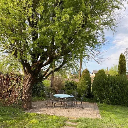 Spacious With Pool Apartment